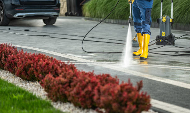 Best Sidewalk and Walkway Cleaning  in Alexander, AR