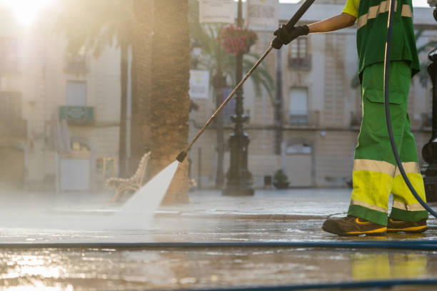 Best Roof Washing  in Alexander, AR